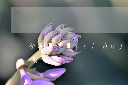 分期樂提現(xiàn)免息(分期樂借錢免息)