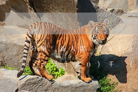 分期樂新人提現(xiàn)免息(分期樂提現(xiàn)手續(xù)費怎么算)