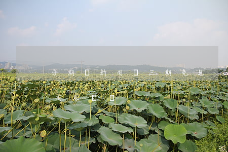分期樂新用戶三期免息-分期樂3期免息還有服務費