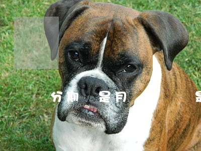 分期樂是月賬單還還是分期還款-
