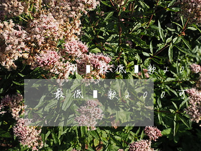 分期樂最低還款200能用幾次-分期樂的最低還款200可以用幾次