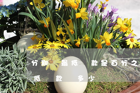 分期樂最低還款是百分之多少錢-分期樂最低還款還多少