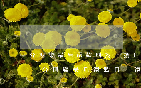 分期樂最后還款期為十號(hào)怎么辦-分期樂最后還款日沒還怎么辦