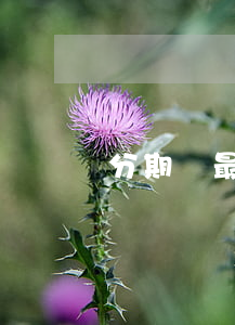 分期樂最多逾期5天（分期樂最多逾期5天）