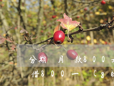 分期樂月還款800是借了多少錢-分期樂借800一個(gè)月利息多少
