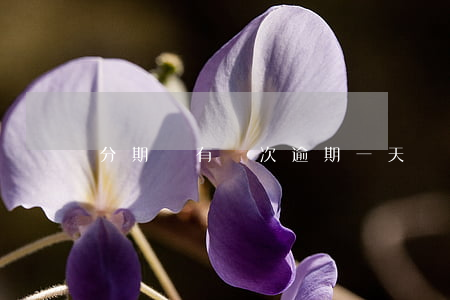 分期樂有兩次逾期一天