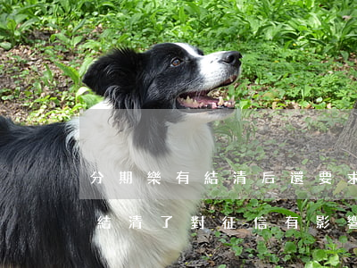 分期樂有結清后還要求還款的嗎-分期樂有結清了對征信有影響嗎