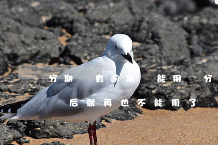 分期樂有逾期還能用嗎(分期樂是不是逾期了過后就再也不能用了)