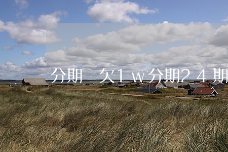 分期樂欠1w分期24期