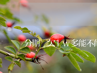 分期樂欠1w多能不能貸款(分期樂影響房貸嗎)