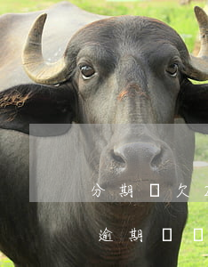 分期樂欠23000(分期樂欠款3000多逾期兩個(gè)月會(huì)怎么樣)
