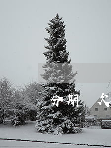 分期樂欠260兩個月會怎么樣-