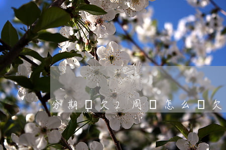 分期樂欠2周會怎么樣(欠分期樂多久)