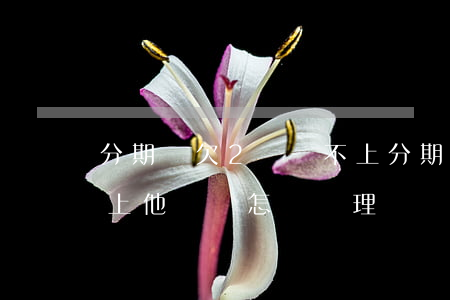分期樂欠2萬還不上(分期樂欠7000還不上,他們會怎樣處理)