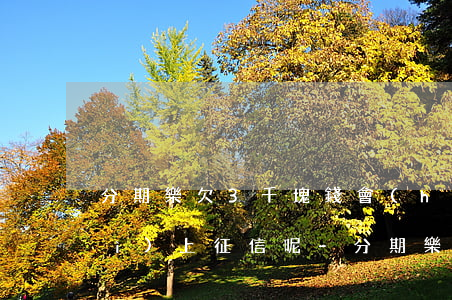 分期樂欠3千塊錢會(huì)不會(huì)上征信呢-分期樂欠3000塊錢逾期了會(huì)被起訴嗎