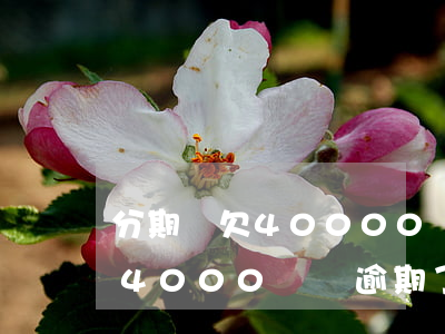 分期樂欠40000會被起訴嗎-分期樂欠4000塊錢逾期了會被起訴嗎