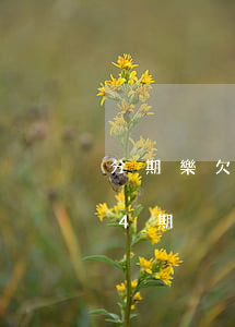 分期樂欠4萬滾(分期樂借了5000分了24期)