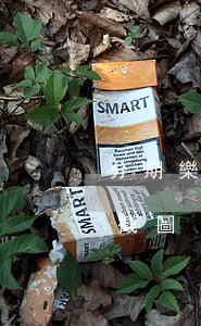 分期樂欠5000的截圖(分期樂還款500截圖)