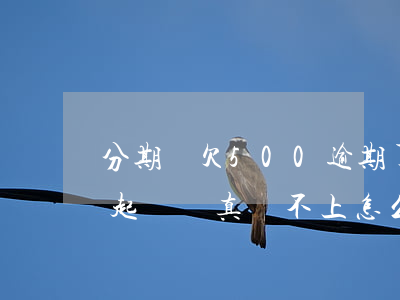 分期樂欠500逾期了(分期樂5千逾期會被起訴嗎?真還不上怎么辦)