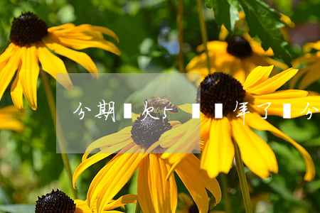 分期樂欠5萬兩年了(樂分期欠款一萬多)