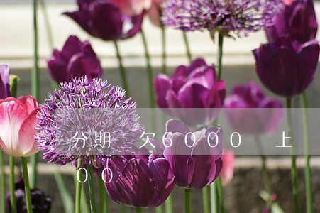 分期樂欠6000會上門嘛(分期樂借了6000沒還)
