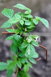 分期樂欠6w逾期500天(分期樂欠1000塊錢 逾期6個月了會不會起訴我)