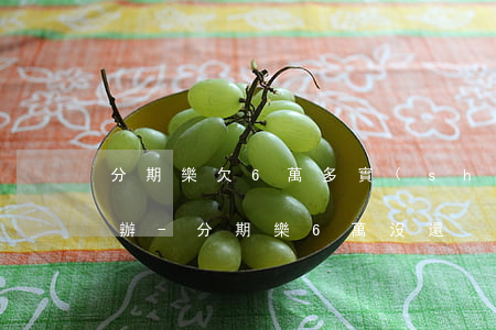 分期樂欠6萬多實(shí)在還不上怎么辦-分期樂6萬沒還
