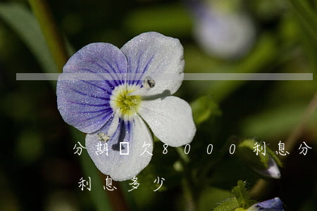 分期樂欠8000利息(分期樂借15000利息多少)