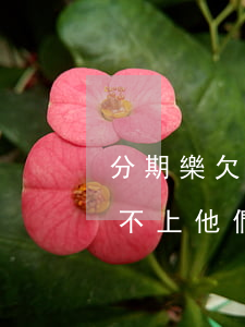 分期樂欠8000還不上(分期樂欠700還不上,他們會(huì)怎樣處理)