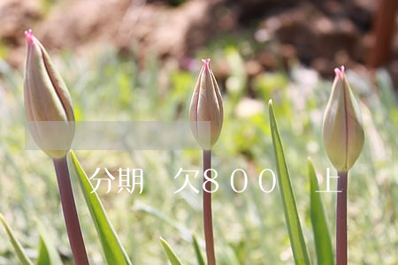 分期樂欠800會上門嗎