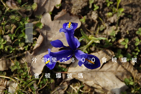 分期樂欠800會被爆破嗎(分期樂欠800會被爆破嗎)