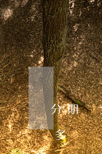 分期樂欠一年多利息五百多(樂分期欠款一萬多)