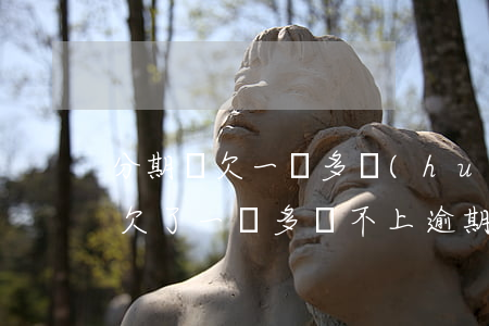 分期樂欠一萬多會(huì)怎么樣(分期樂欠了一萬多還不上逾期有什么后果)