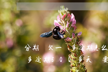 分期樂欠一萬多逾期怎么辦(分期樂欠款一萬多逾期500多天說要報案)