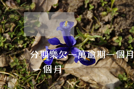 分期樂欠一萬逾期一個月(分期樂欠一萬逾期一個月)