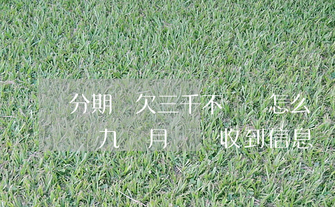 分期樂欠三千不還會怎么樣(分期樂欠三千多塊九個月沒還收到信息說要走訪)