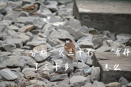 分期樂欠三千不還會有什么后果-分期樂借了三千多沒還會怎么樣