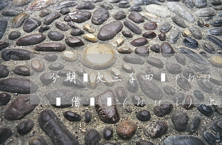 分期樂欠三千四會(huì)上征信嗎(分期樂借錢會(huì)上征信嗎)