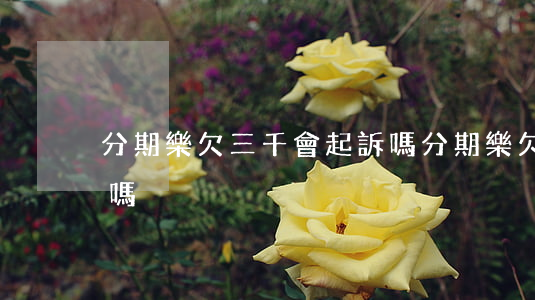 分期樂欠三千會起訴嗎(分期樂欠三千會起訴嗎)