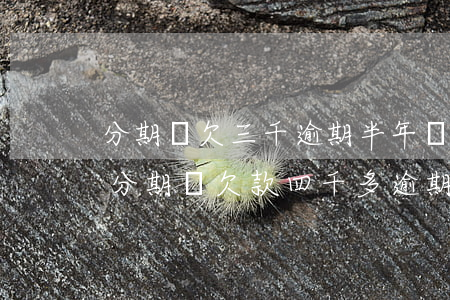 分期樂欠三千逾期半年會(huì)怎么樣(分期樂欠款四千多逾期快兩年了會(huì)不會(huì)有事?)