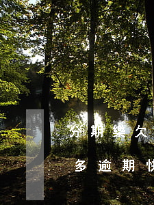 分期樂欠九千逾期有影響沒(分期樂欠款四千多逾期快兩年了會不會有事?)