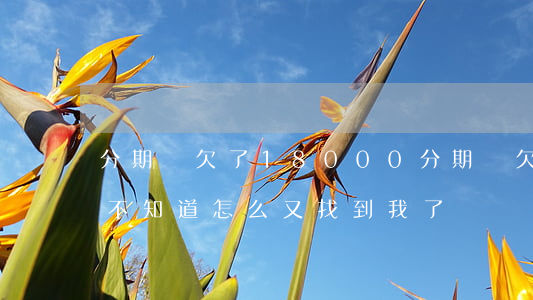 分期樂欠了18000(分期樂欠了三年沒還不知道怎么又找到我了)
