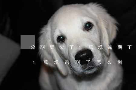 分期樂欠了1萬塊逾期了怎么辦(分期樂欠了1萬塊逾期了怎么辦)