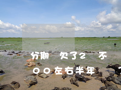 分期樂欠了2萬不還會坐牢嗎(欠分期樂8000左右半年沒還了會坐牢嗎)