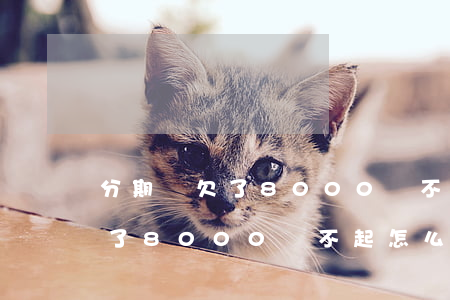 分期樂欠了8000還不起怎么辦(分期樂欠了8000還不起怎么辦)