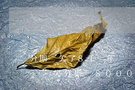 分期樂欠了8千一年沒還會(huì)怎么樣-欠分期樂8000左右半年沒還了會(huì)坐牢嗎
