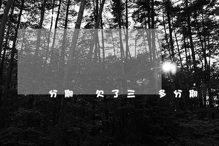 分期樂欠了三萬多(分期樂三萬沒還)