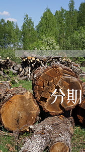 分期樂欠了五年還用還嗎(分期樂四年沒還了)