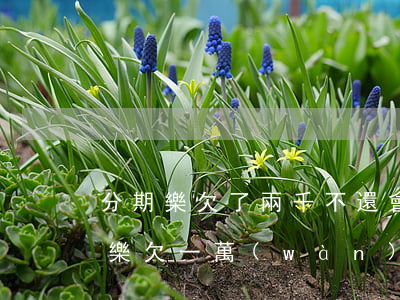 分期樂欠了兩千不還會(huì)怎樣(分期樂欠一萬(wàn)多還不上,他們會(huì)怎樣處理)