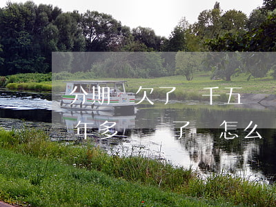 分期樂欠了兩千五沒還(欠分期樂5000一年多沒還了會怎么樣)